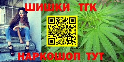 тгк Можга