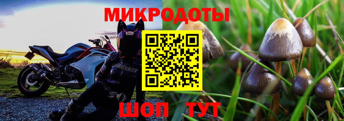 Галлюциногенные грибы прущие грибы  Галлюциногенные грибы Psilocybine cubensis  Первоуральск  Вход с VPN 