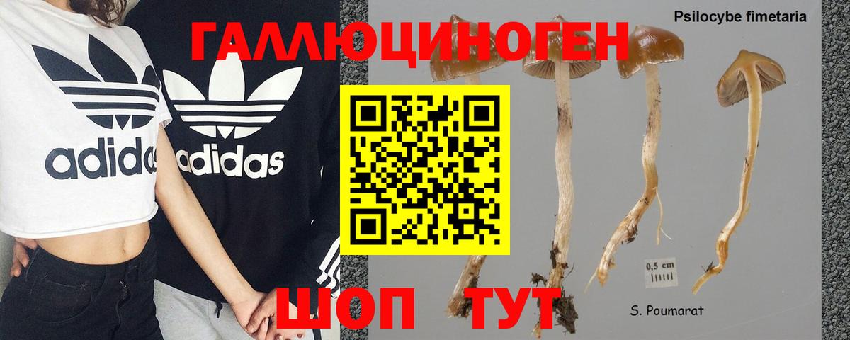 Псилоцибиновые грибы GOLDEN TEACHER Первоуральск